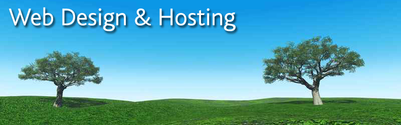 Web Design & Hosting